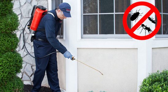 Mazıdağı Karınca İlaçlama böcek ilaçlama ve haşere kontrolü — ilaclama-tr.com